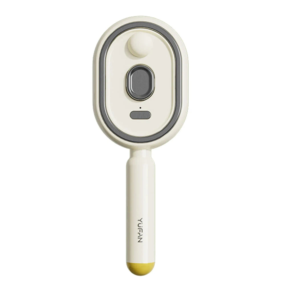 Rechargeable Steam Hair Brush